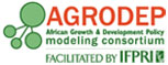 AGRODEP, facilitated by IFPRI